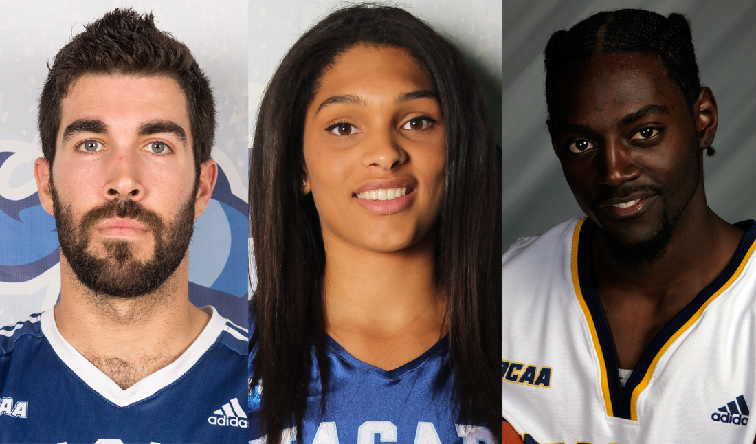 Former Knights back on the court in Niagara