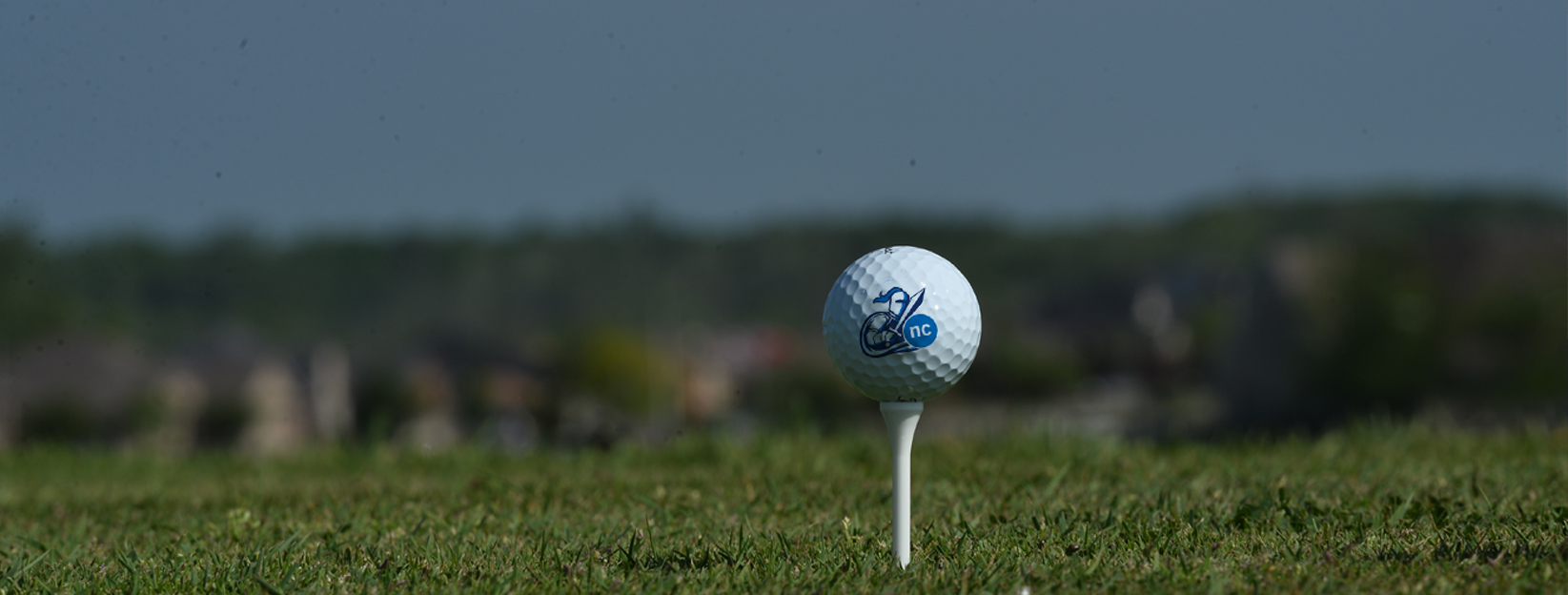 Niagara College Foundation Golf Classic a success
