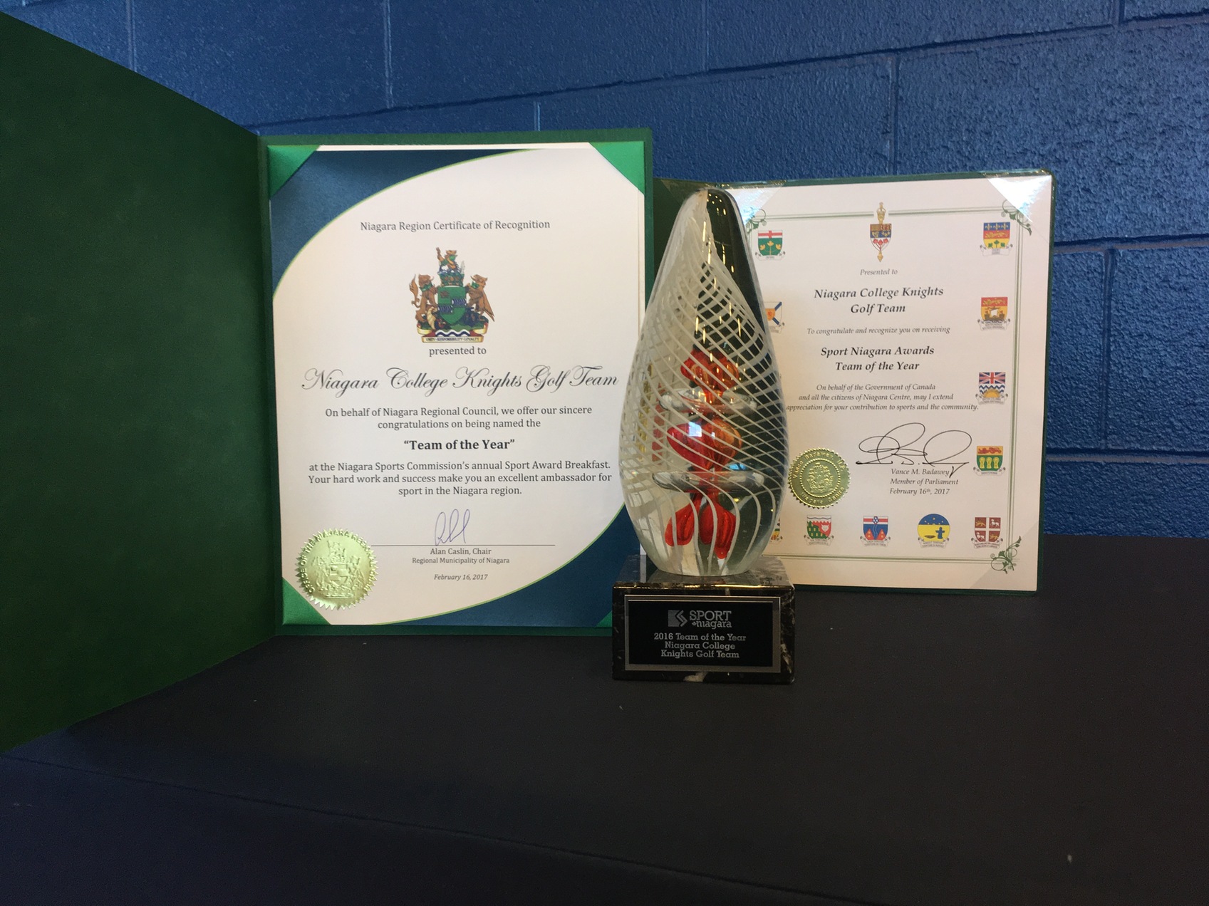 Knights Golf named Sport Niagara 'Team of the Year'