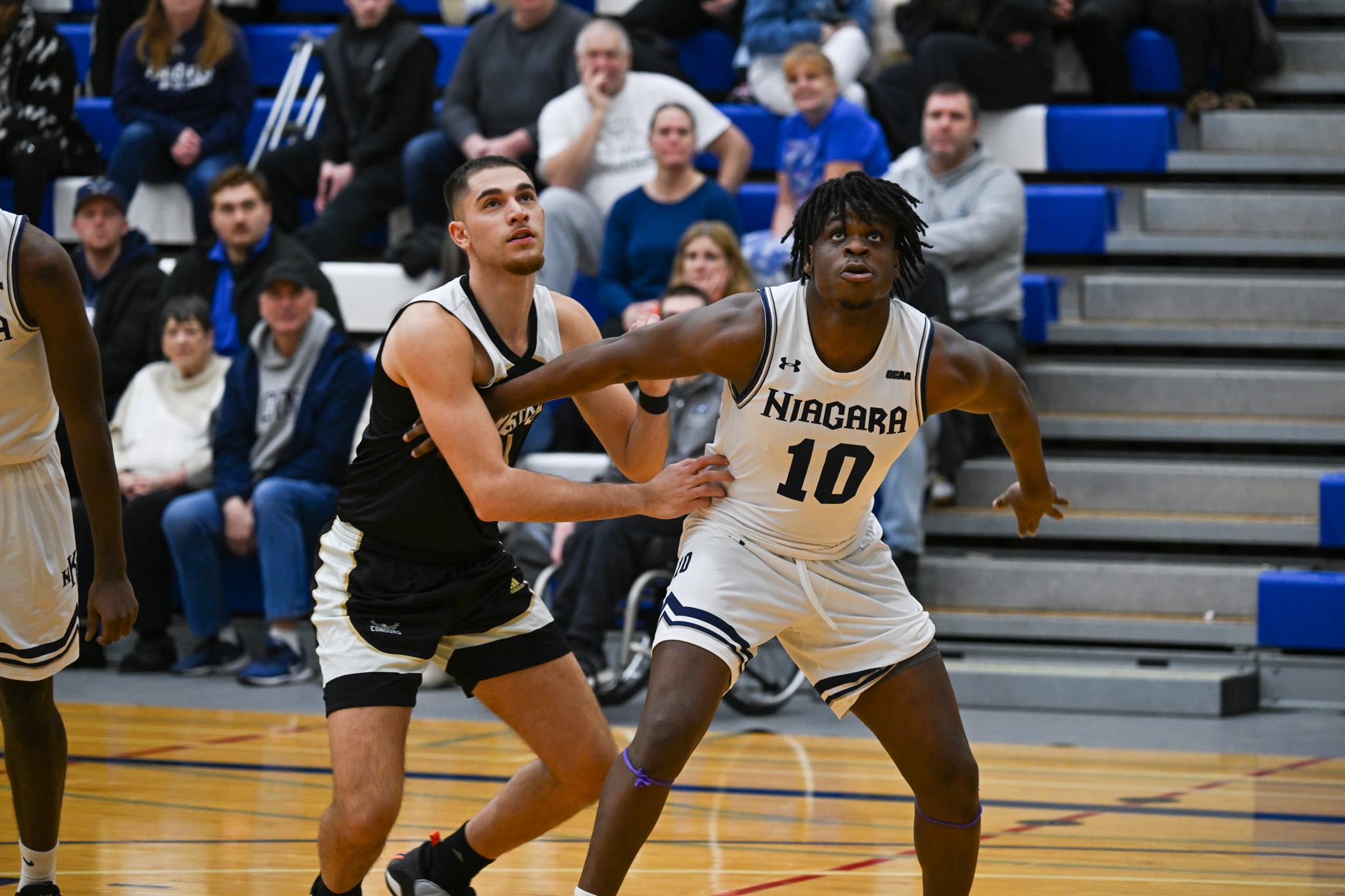 Knights men&rsquo;s basketball find victory over visiting Condors