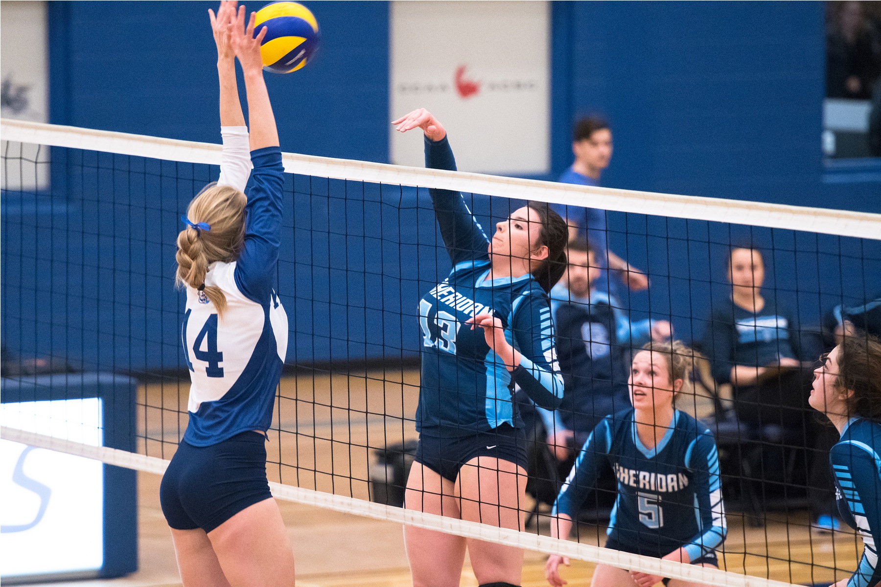 RECAP: Knights win five-set thriller