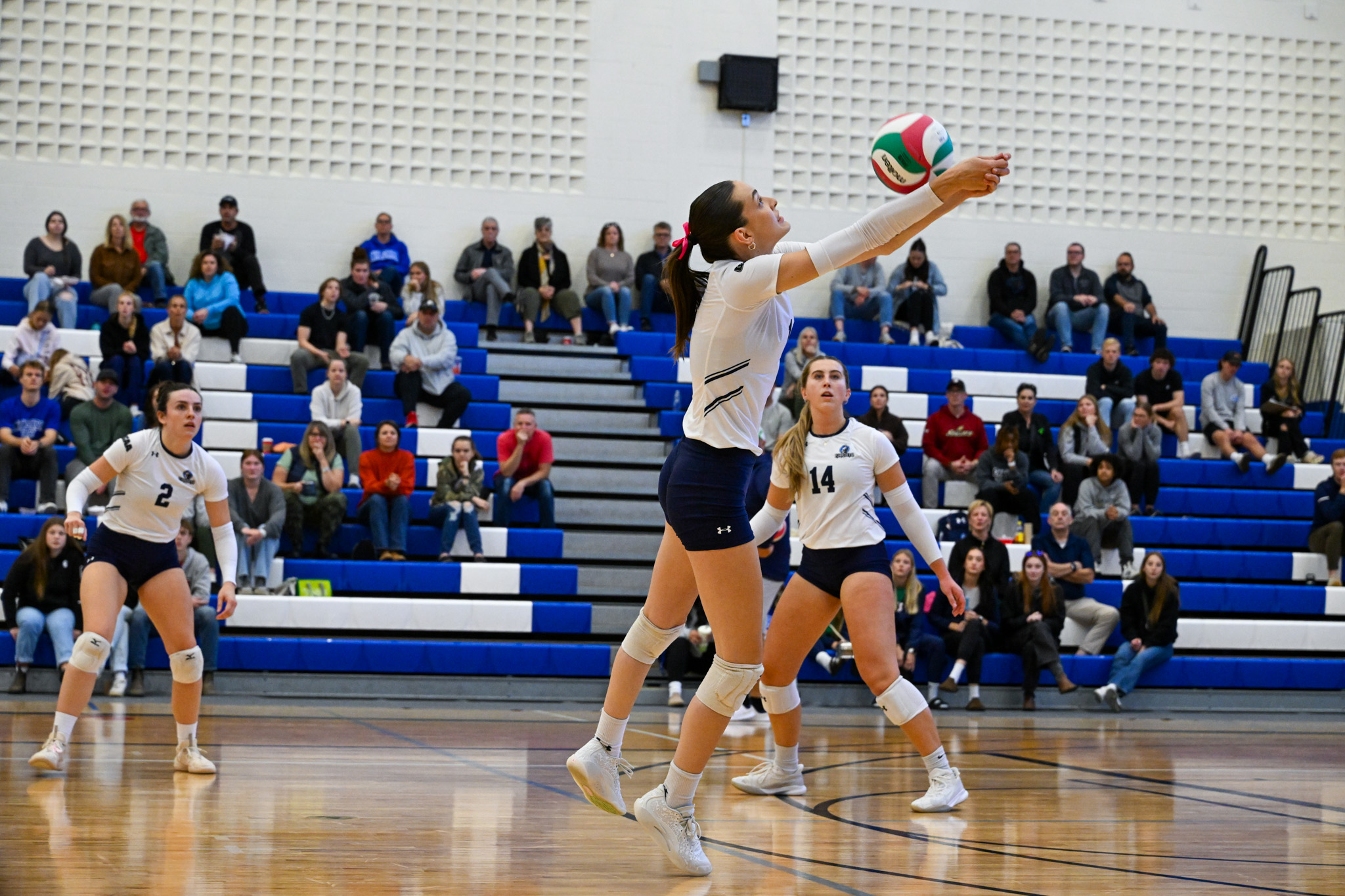 Knights suffer first loss of season
