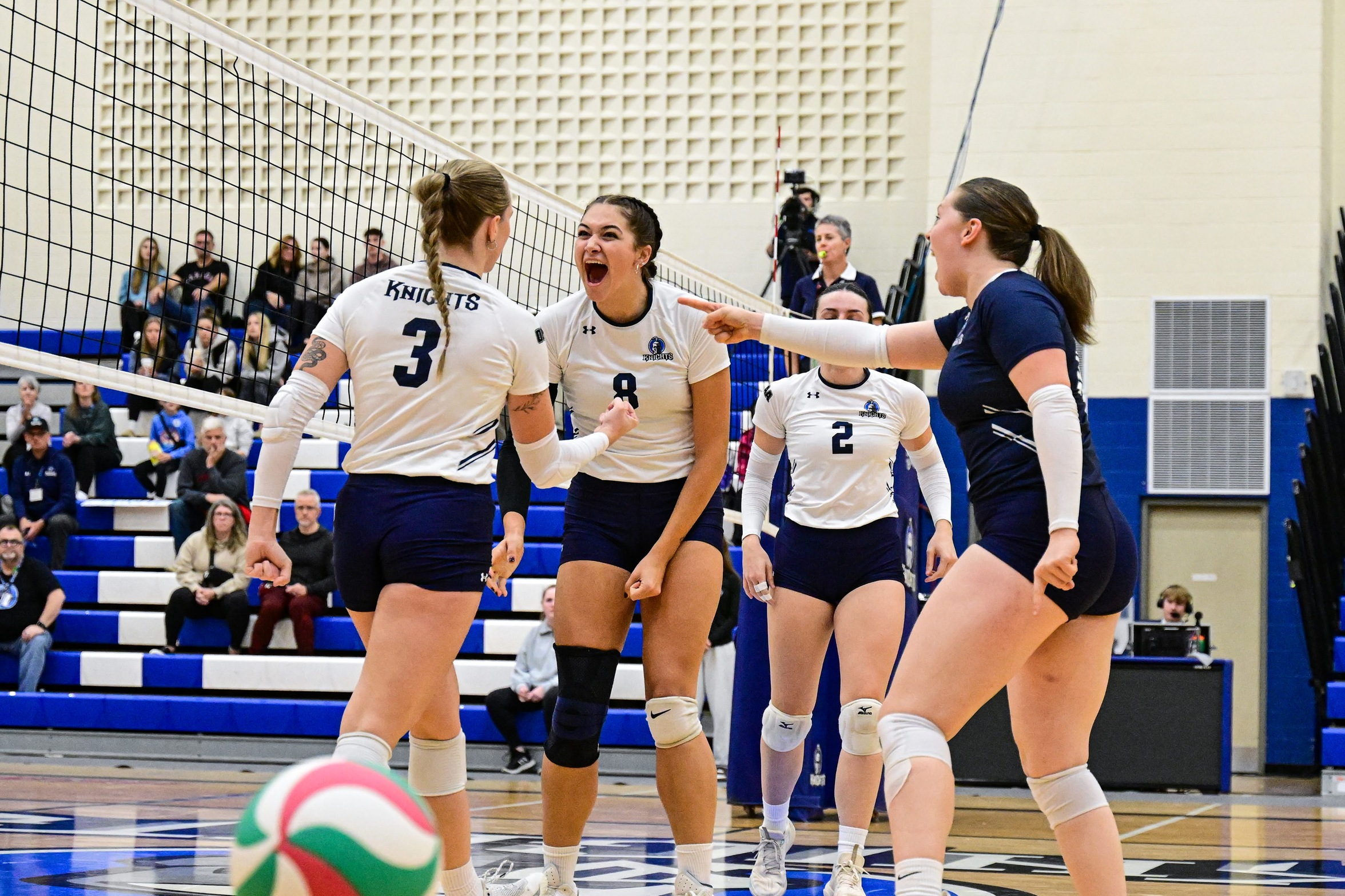 Knights Tame Royals